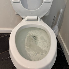 Commercial-Plumbing-Toilet-Unclog-in-Hinsdale-IL 1
